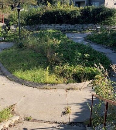 landscapebefore1.jpg